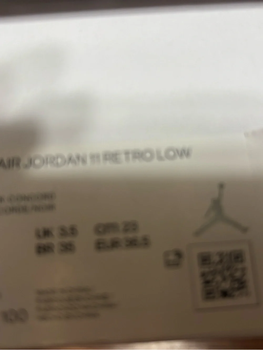 Jordan White and Blue Low-Top Athletic Sneakers